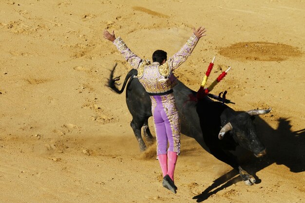 Foto torreador con el toro