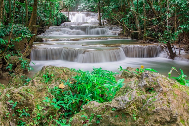 torrente natureza pureza rocha selvagem