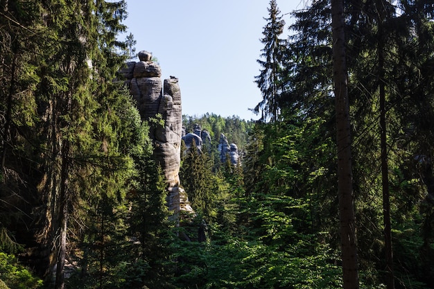 Torres de arenisca y bosque de Adrspach Rocks, República Checa