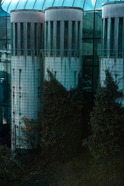 Torres de ventilação são cobertas com hera