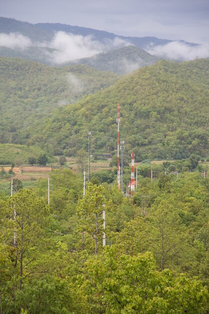 Foto torres de telecomunicaciones en el bosque