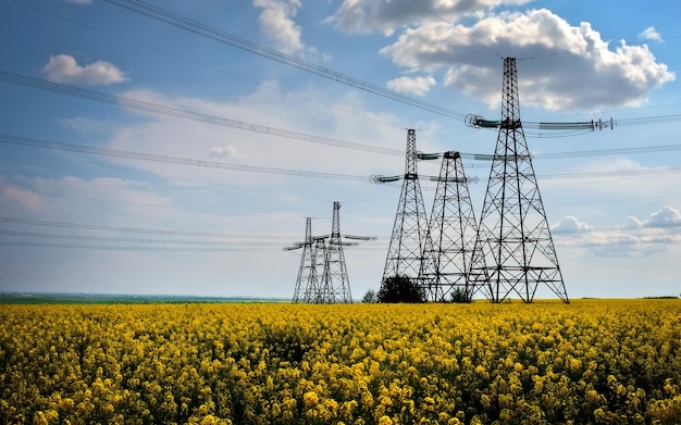 Torres de transmisión en medio de un campo de canola amarillo en flor Línea de alta tensión en Spring