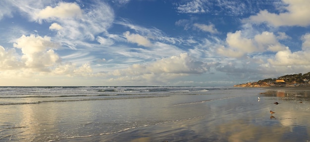 Torrey Pines Beach San Diego Kalifornien USA Der schöne Strand von Torrey Pines San Diego Kalifornien