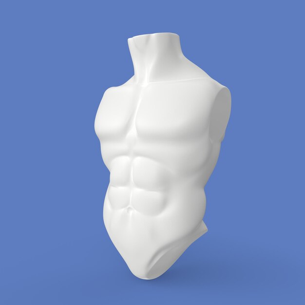 Torso humano modelado 3d