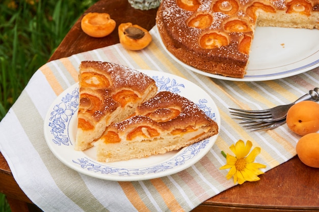 Torta de Damasco fresca ao ar livre