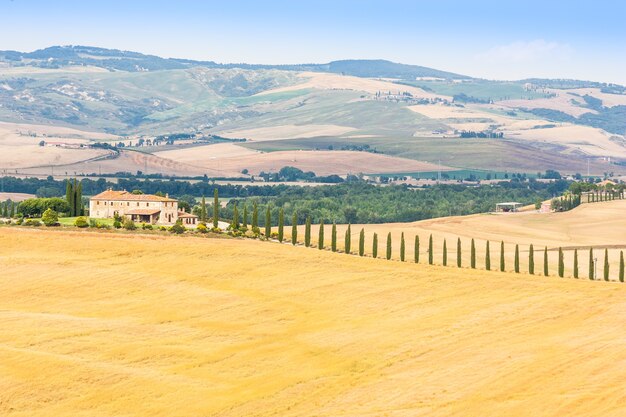 Toscana, zona de Val d'Orcia. Maravilloso paisaje en un día soleado, justo antes de la llegada de la lluvia