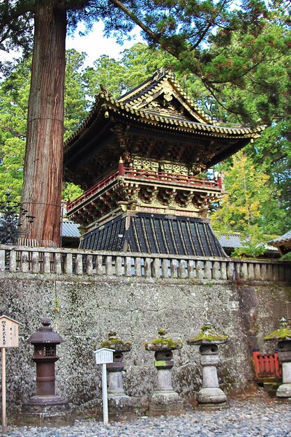 Toshogu-Tempel im Herbst Nikko Japan