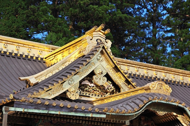 Toshogu-Tempel im Herbst Nikko Japan