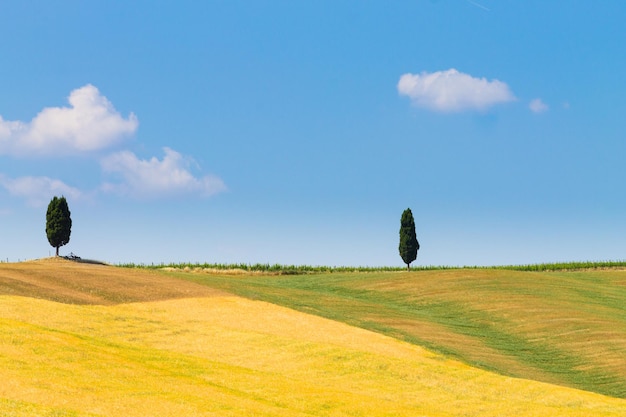 Toskana-Hügellandschaft, Italien. Ländliches italienisches Panorama.