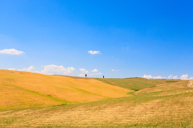 Toskana-Hügellandschaft, Italien. Ländliches italienisches Panorama.