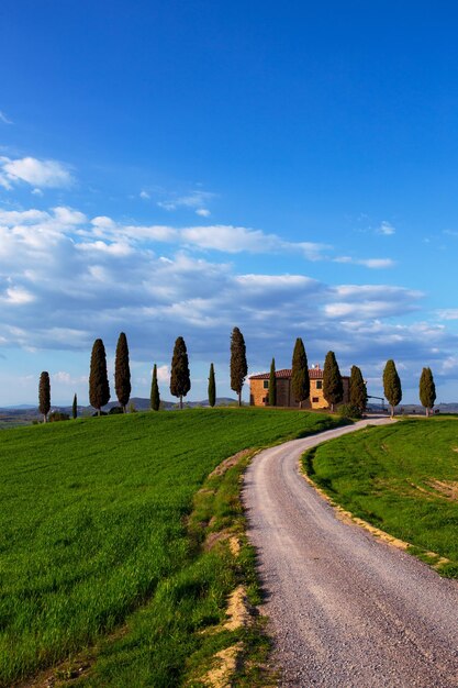 Toskana-Landschaft mit altem Haus und Zypressen am sonnigen Tag. Provinz Siena. Toskana, Italien