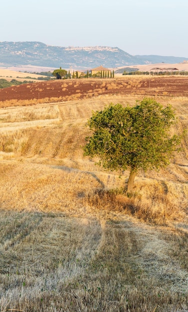 Toskana-Sonnenaufganglandschaft Italien