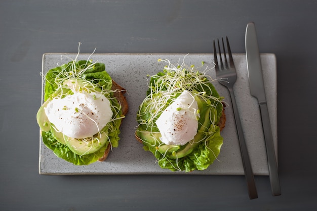 Tostadas de desayuno con huevo escalfado de aguacate y brotes de alfalfa