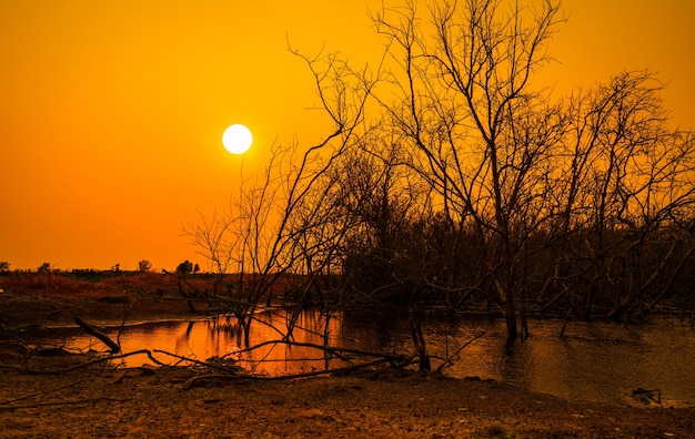 Tote bäume im see und orange sonnenuntergang himmelshintergrund klimawandel und dürre land wasserkrise