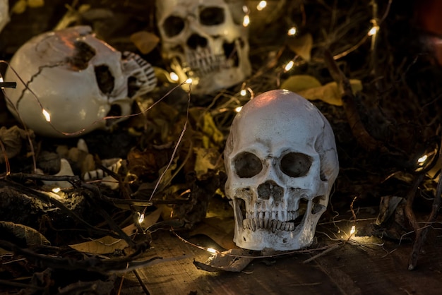 Totenkopf und Gruselszene für Halloween