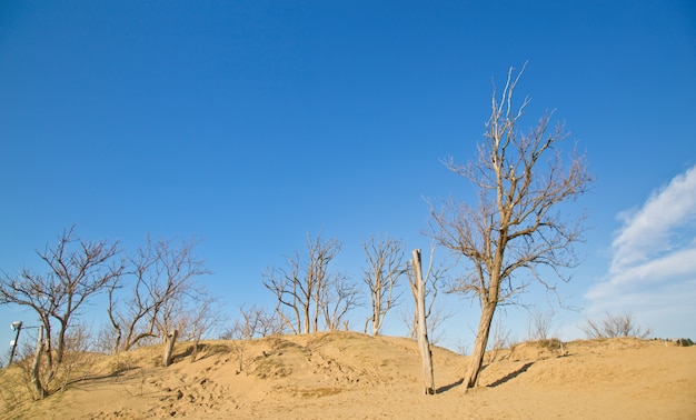 Tottori Sanddüne