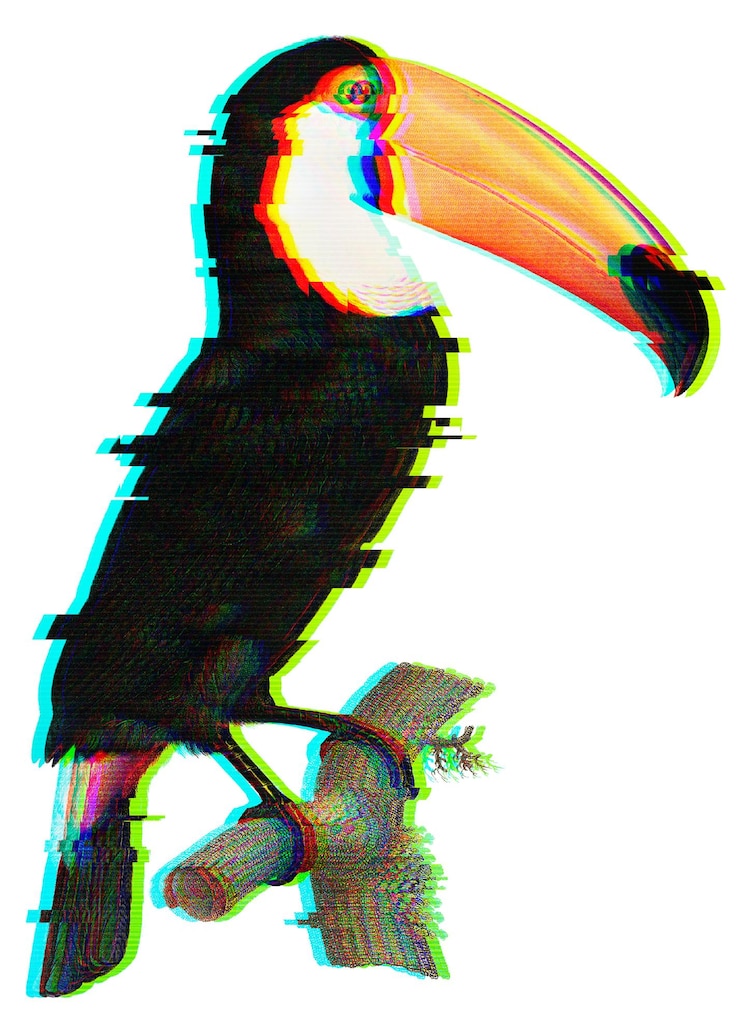 Foto toucan-vogel mit glitch-effekt-designelement
