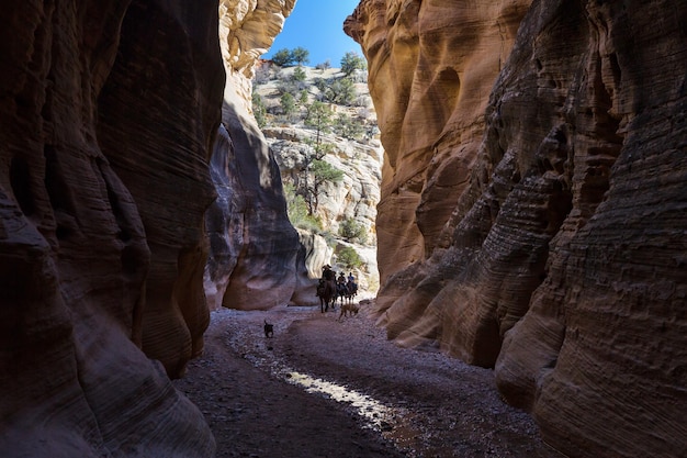 Tour a caballo en el cañón