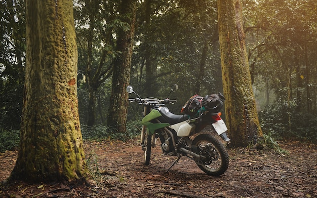 Touring en motocicleta en el bosque con poca iluminación.