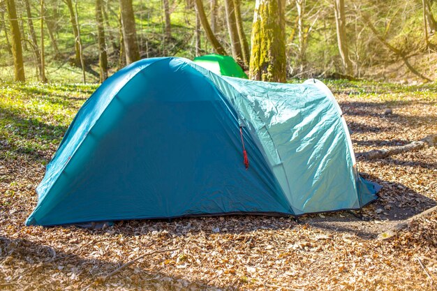 Tourismuskonzept Morgendämmerung in einem nebligen Wald mit einem einsamen Zelt Der Mensch lebt im Wald