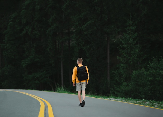 Tourist im gelben Sweatshirt, das die Asphaltstraße am Gebirgstannenwald hinuntergeht