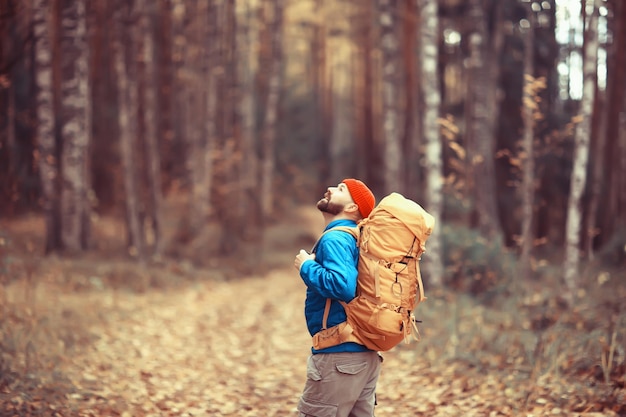 Tourist im Herbstwald auf einer Forststraße, ein Abenteuer im Oktoberwald, Ein-Mann-Herbstlandschaftswandern