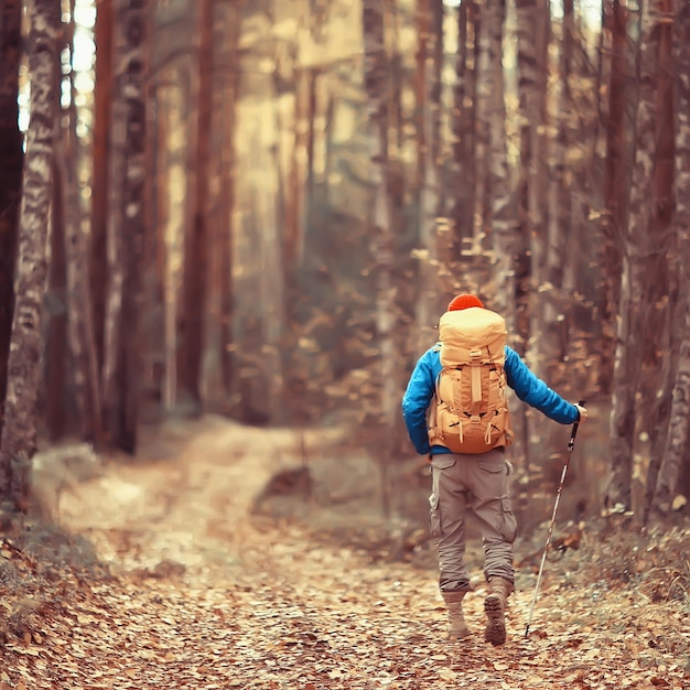 Tourist im Herbstwald auf einer Forststraße, ein Abenteuer im Oktoberwald, Ein-Mann-Herbstlandschaftswandern