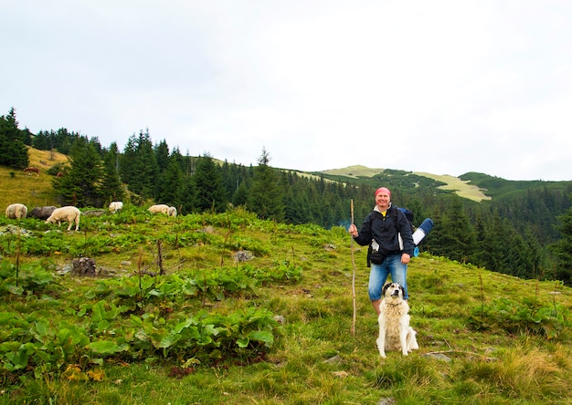 Tourist mit einem Hund und Lämmern auf einen Berg