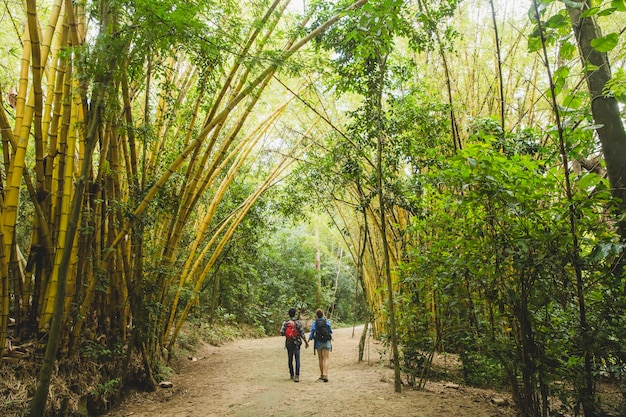 Tourist Paar zu Fuß durch Wald