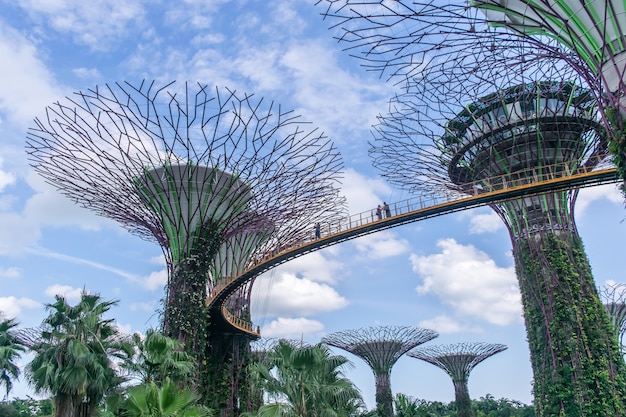 Touristen, die auf den Superbaum in den Gärten durch die Bucht, Singapur gehen