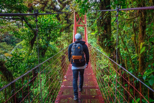 Touristen, die auf einer hängebrücke im nebelwald von monteverde in costa rica spazieren gehen