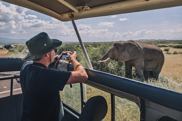 Touristen fotografieren einen wilden Leoparden während einer Safari-Tour in Kenia und Tansania.