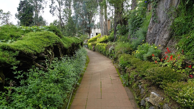 Foto touristen genießen den schönen landschaftsgarten des chettiar-parks