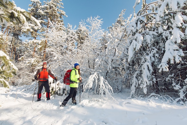 Touristen wandern im Winterwald