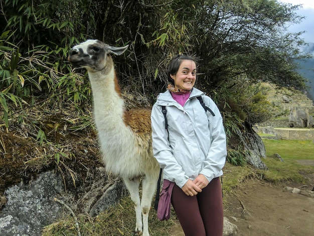 Touristenfrau posiert fröhlich neben einem Lama in Cusco