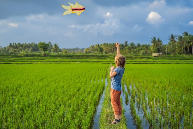 Touristenjunge startet einen Drachen in einem Reisfeld, das mit Kindern unterwegs ist