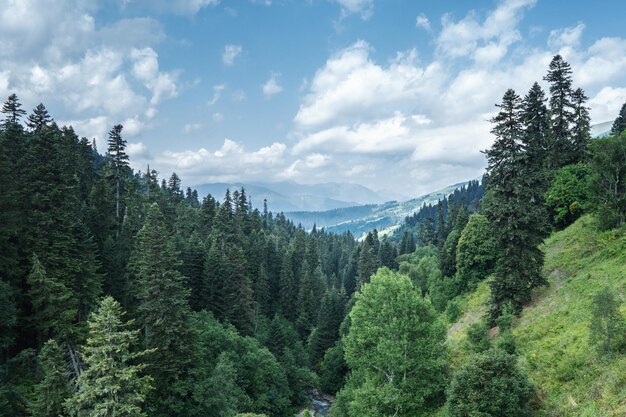 Touristenort Arkhyz . im Flusstal Pkhiya