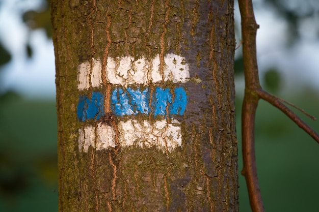 Touristenschild am Baum für eine Touristenreise