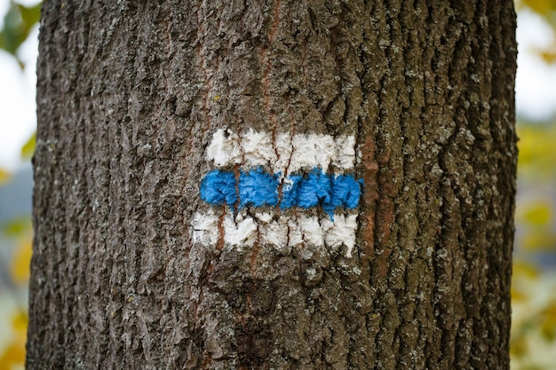 Touristenschild am Baum für eine Touristenreise