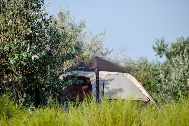 Touristenzelt unter einem Baum Tourist Camping MultiTent