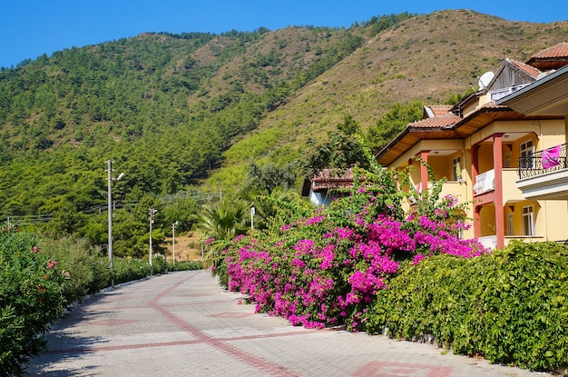 Touristische Riviera mit Blütenpflanzen, Sonne und Hotels