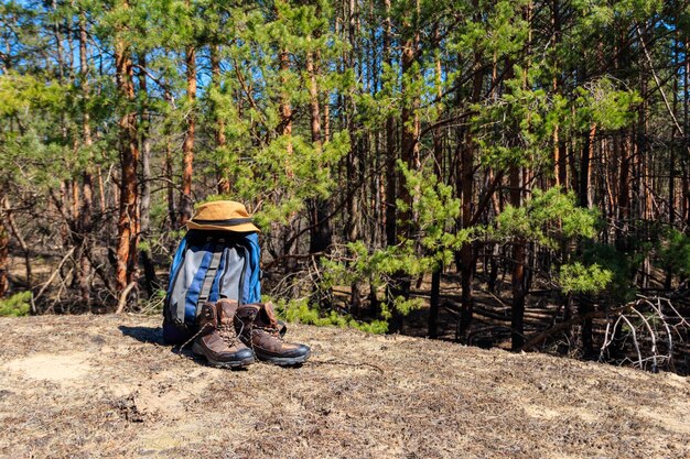 Touristischer Rucksack, Wanderschuhe und Hut auf der Lichtung im Kiefernwald