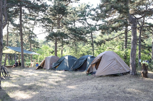 touristisches camp mit zelten im sommerwald