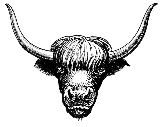 Foto touro da montanha com hors longos. desenho de tinta preto e branco