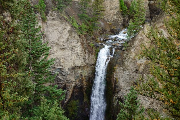 Tower Falls en el Parque Nacional de Yellowstone