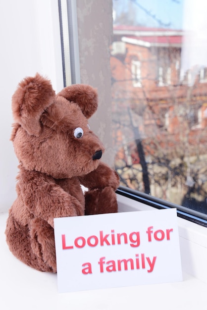 Toybear schaut aus dem Fenster in der Nähe