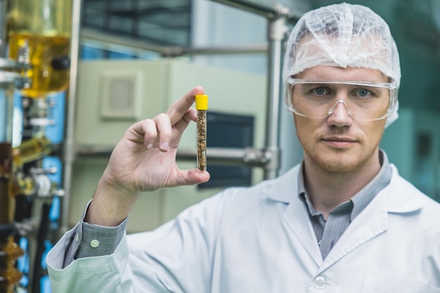 Trabajador científico con flores secas de cáñamo en la fábrica de medicina Técnico de plantas de laboratorio de extracción de aceite de CBD