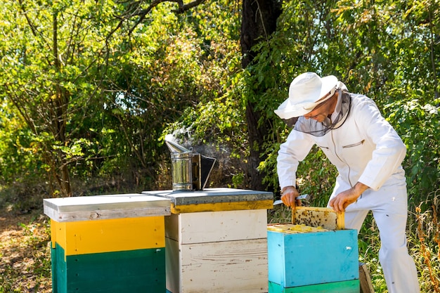 Trabajador de colmenar. El apicultor saca la celda de miel de la colmena. Tres colmenas de diferente color en el fondo del jardín. Concepto de apicultura.