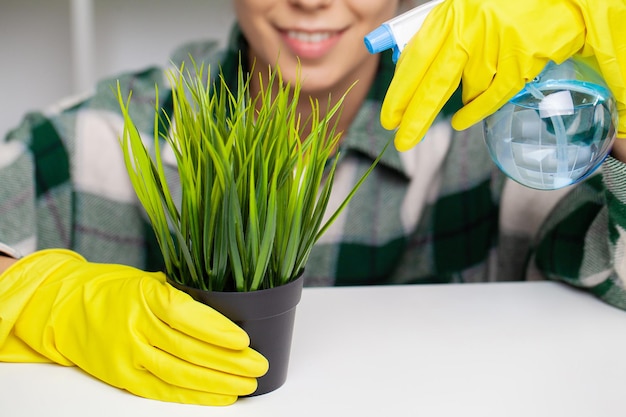 Trabajador de empresa de limpieza cuida una planta