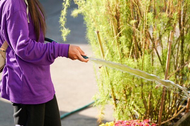 Trabajador de Graden cuidando la planta en el jardín.